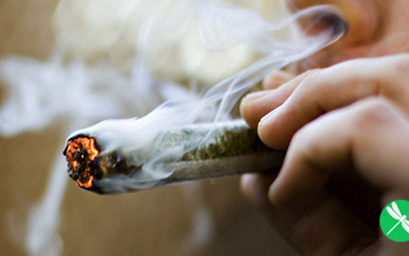 New Research Says Smoking Marijuana Causes Complete Crohn’s Disease Remission In 45% Of Patients
