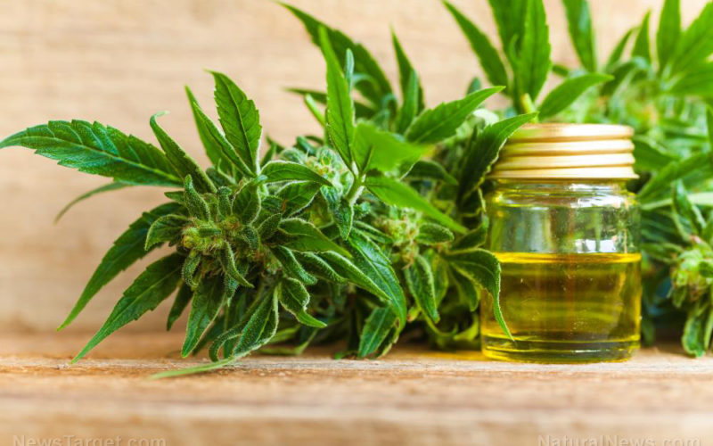 CBD Bombshell: Cannabis approved by the FDA for treatment of brain and spinal cord glioma cancer tumors